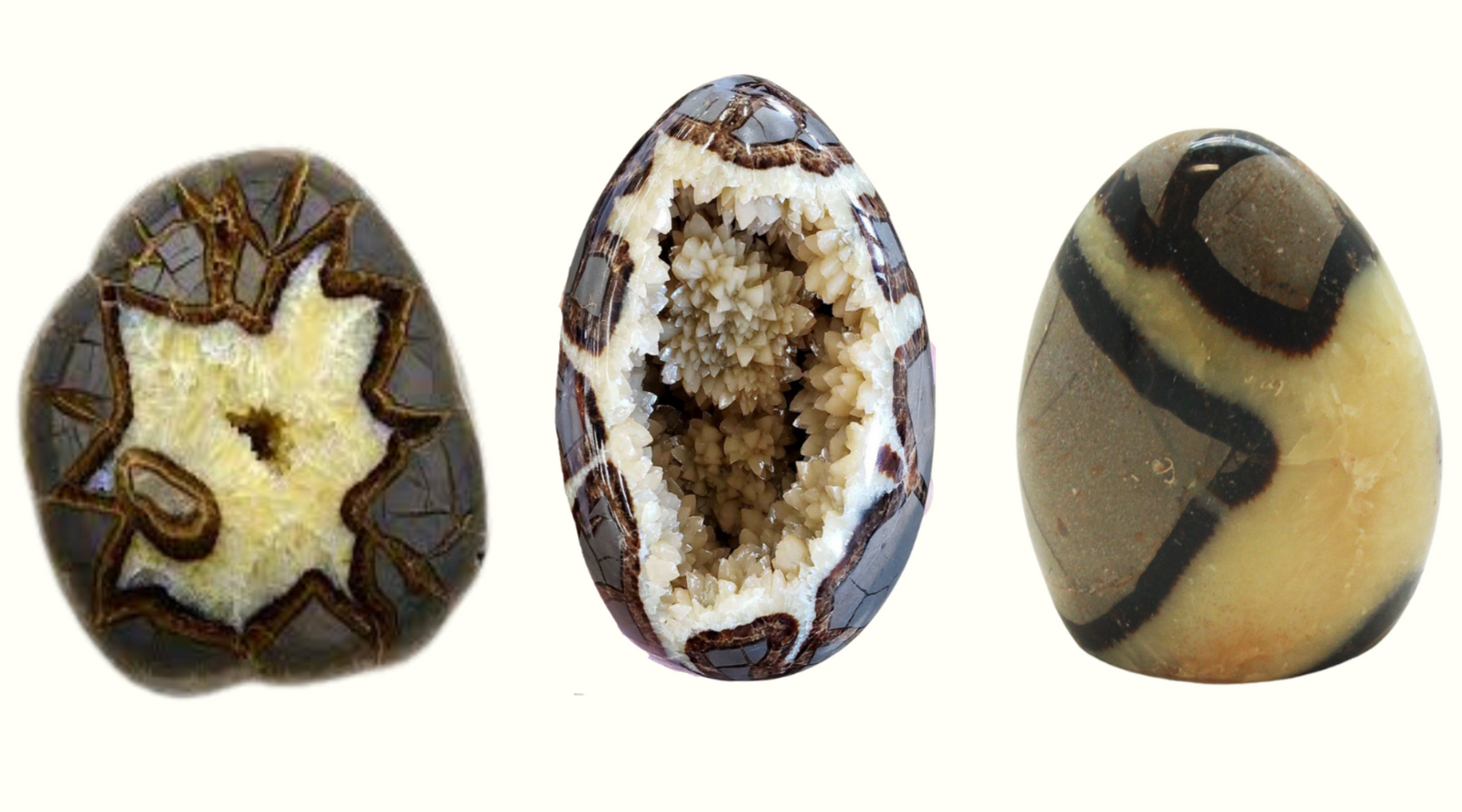 Septarian