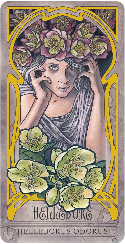 Lady Sterling's Wicked Garden Oracle Deck