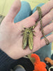 Cicada Necklace (gold tone)