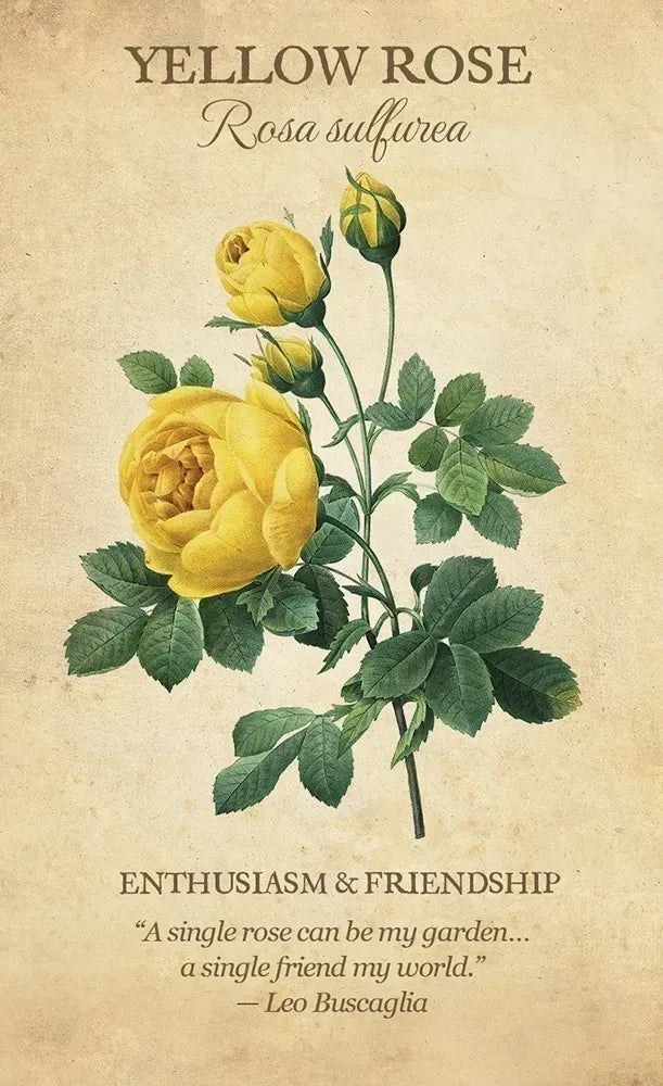 Botanical Inspirations Oracle