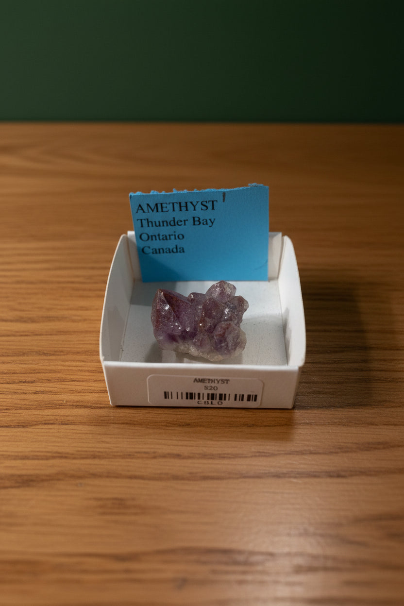 Thunder Bay Amethyst in White Box