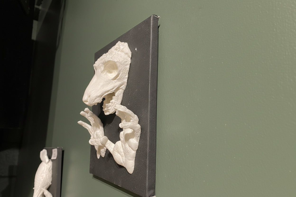 Mounted Lemur Head & Feet Cast