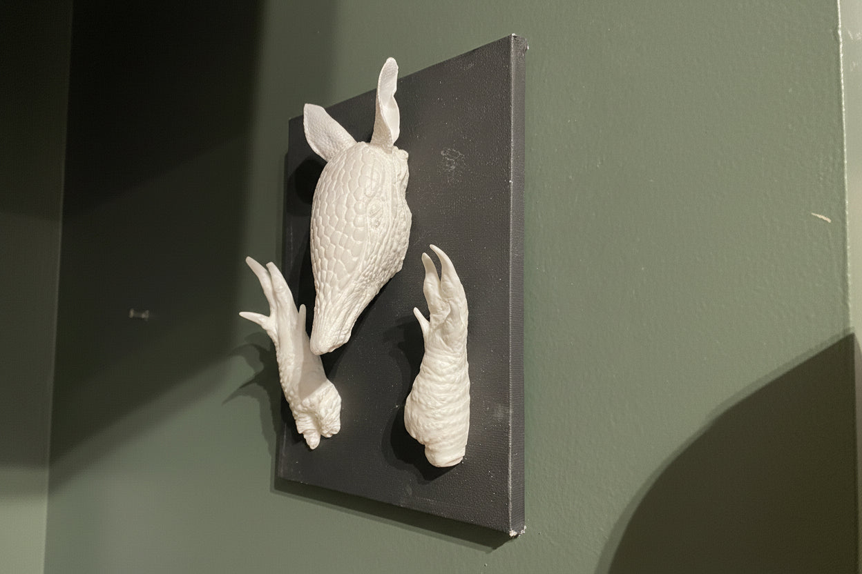 Mounted Armadillo Head & Feet Cast