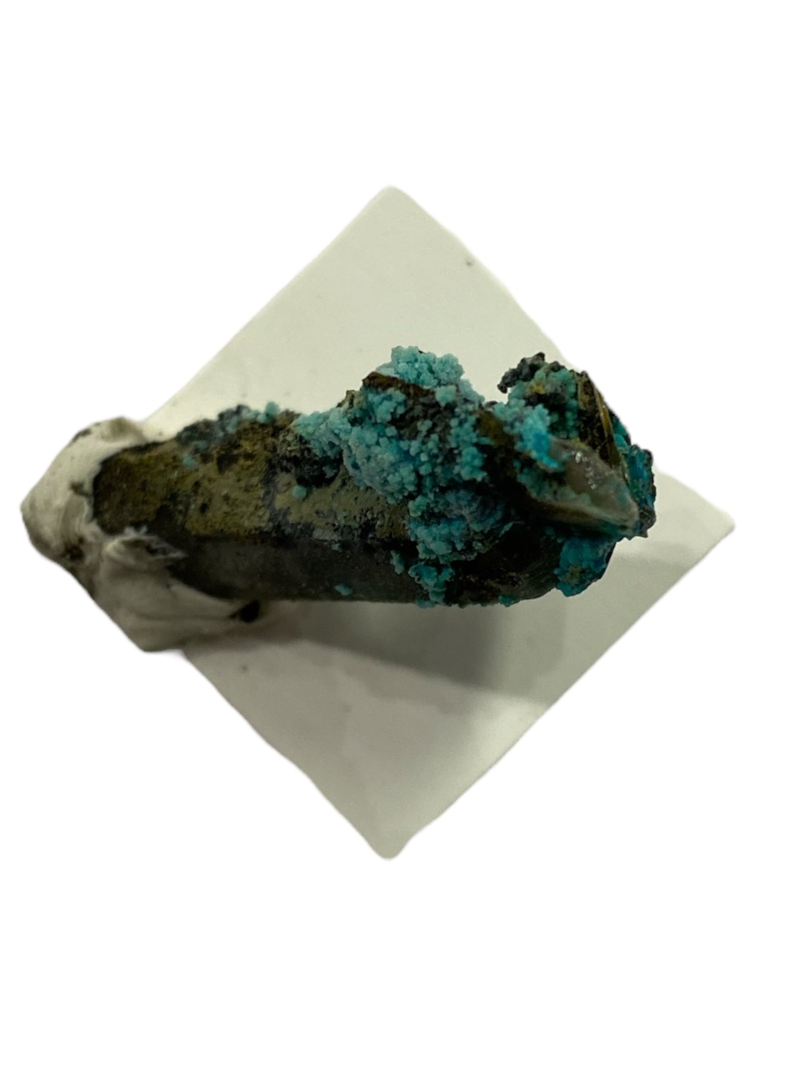 Chrysocolla in Quartz Specimen in Perky Box