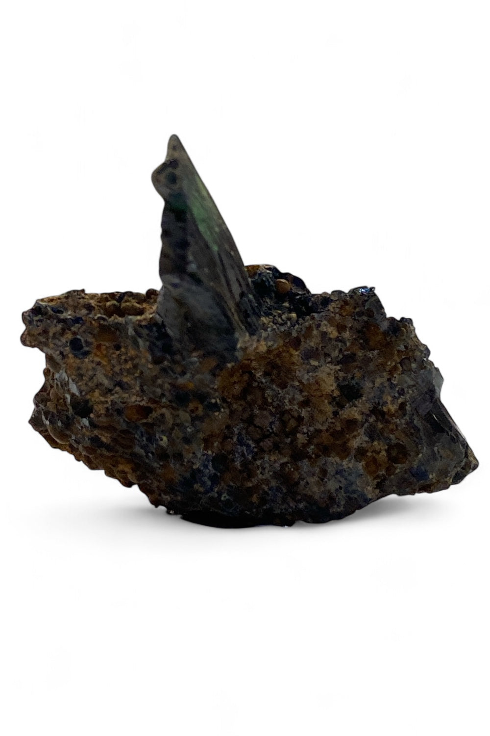 Vivianite Specimens
