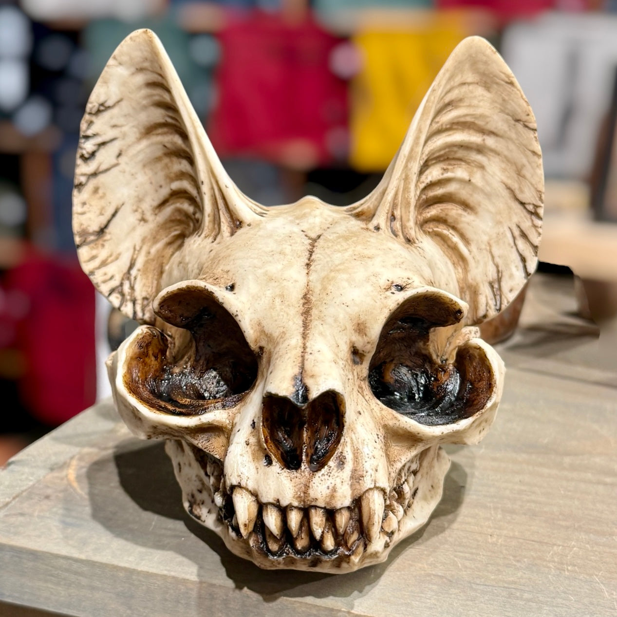 Bastet Cat Skull