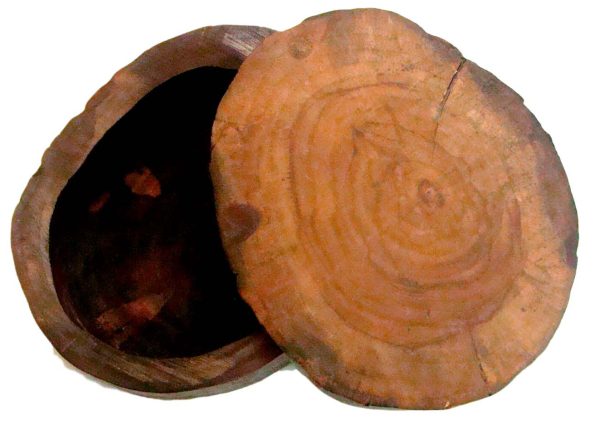 Tree Trunk Box