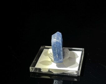 Sapphire in Perky box