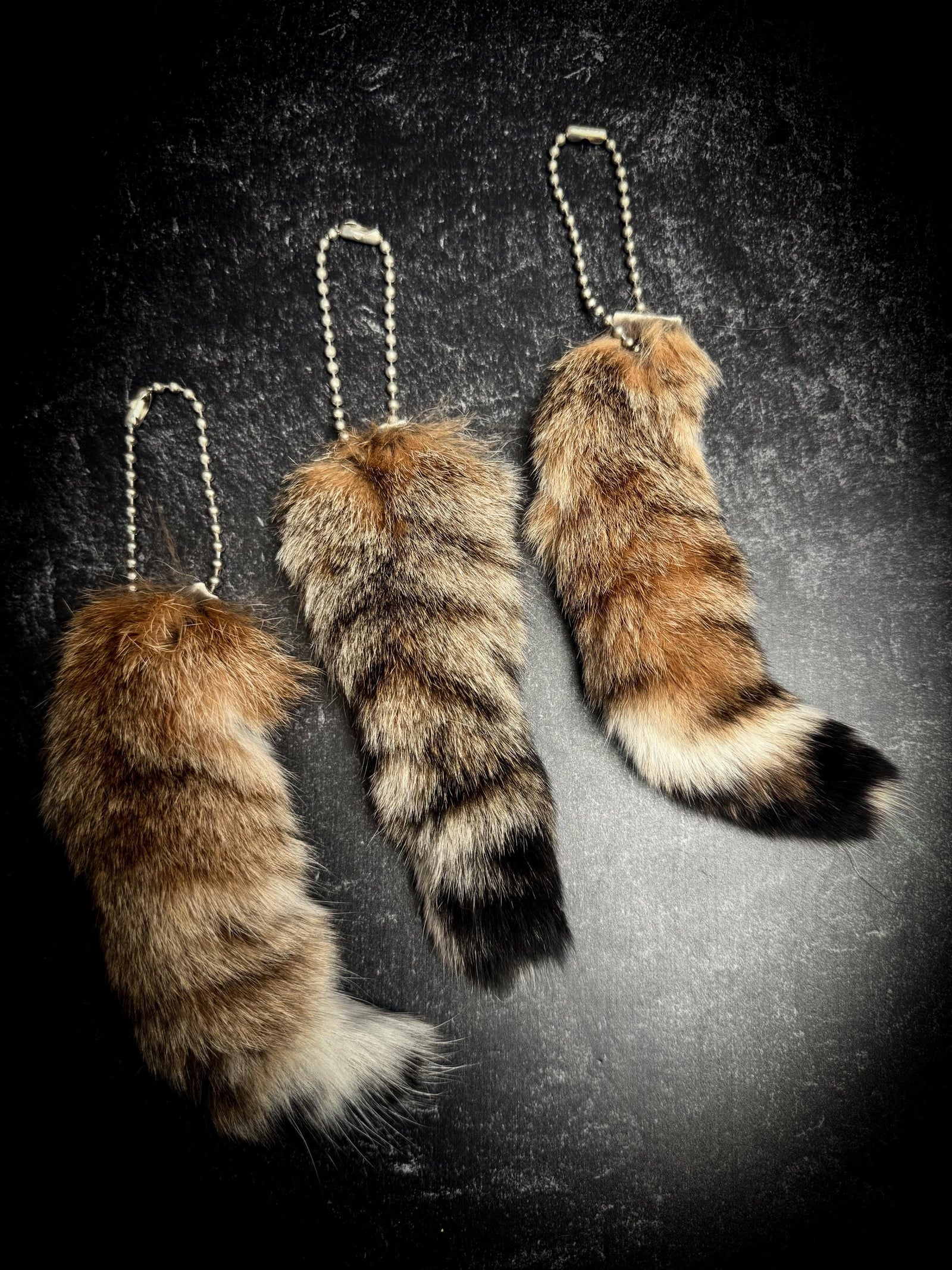 Lynx Tail