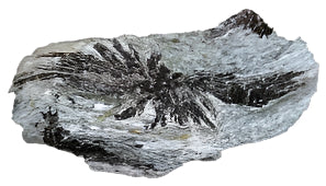 Stilpnomelane Chonks