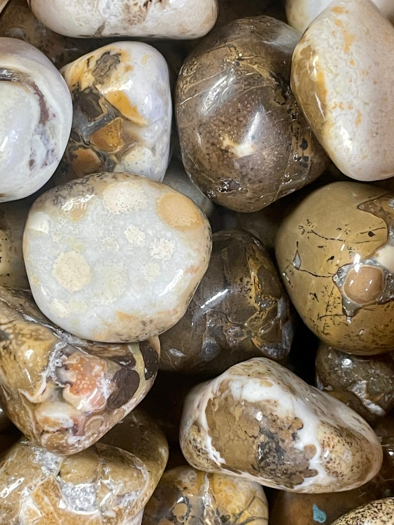 Spotted Agate Tumbled
