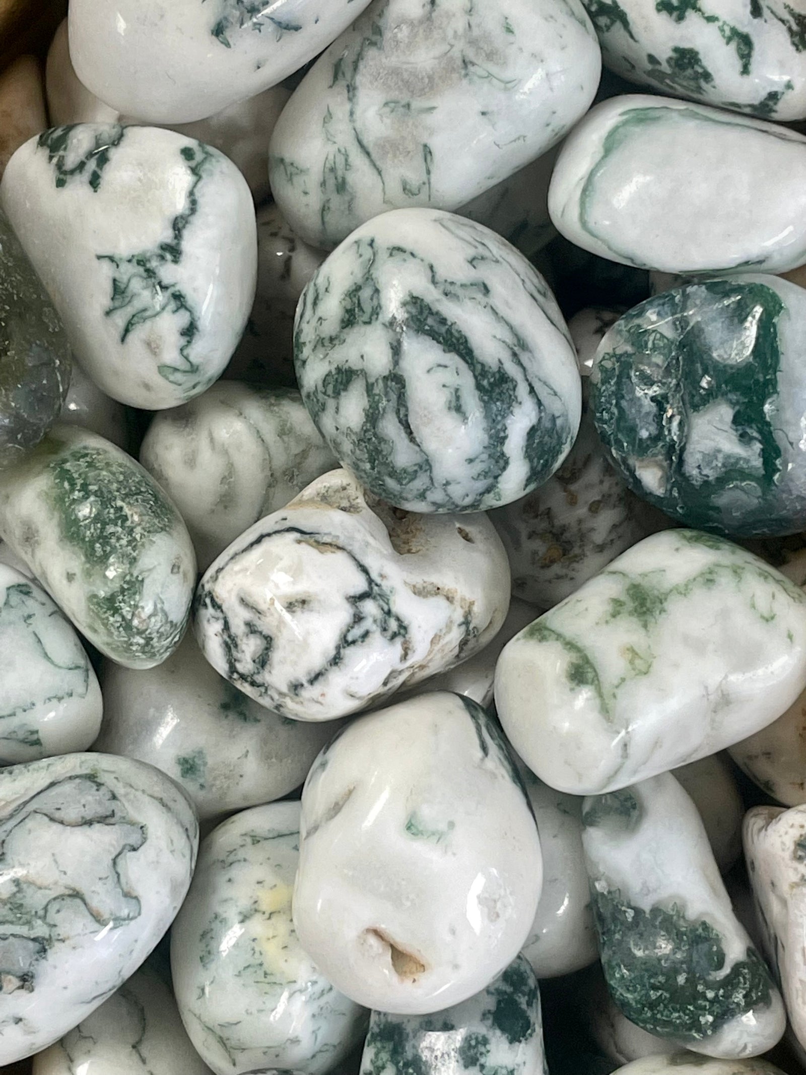 Tree Agate Tumbled