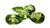 Peridot