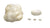 Tridacna Shell