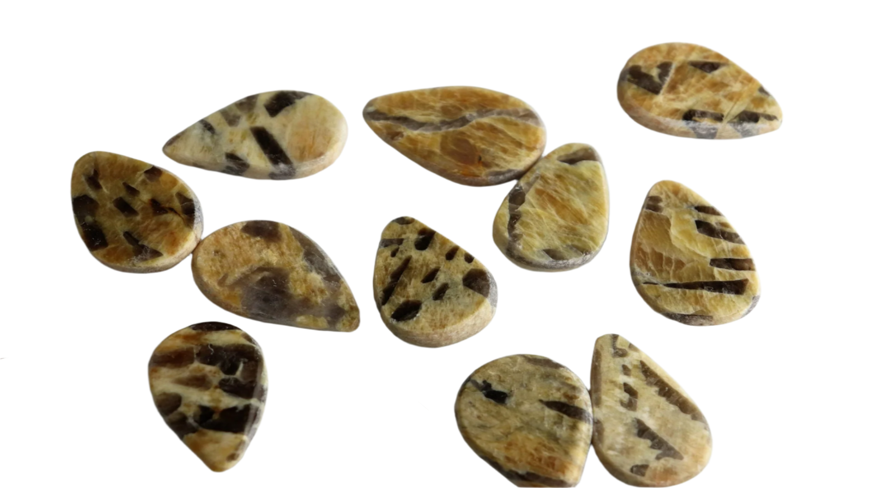 Zebradorite