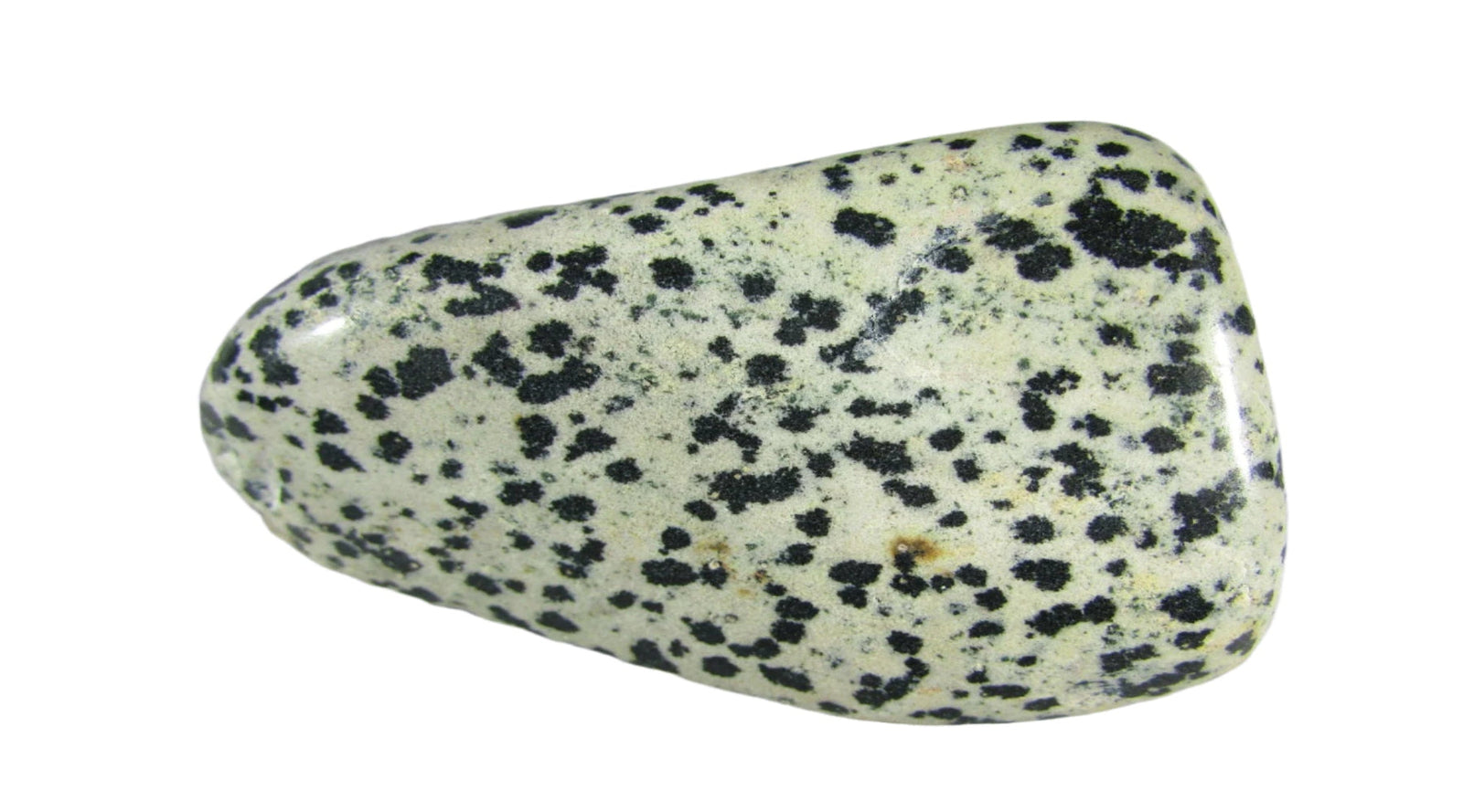 Dalmatian Stone