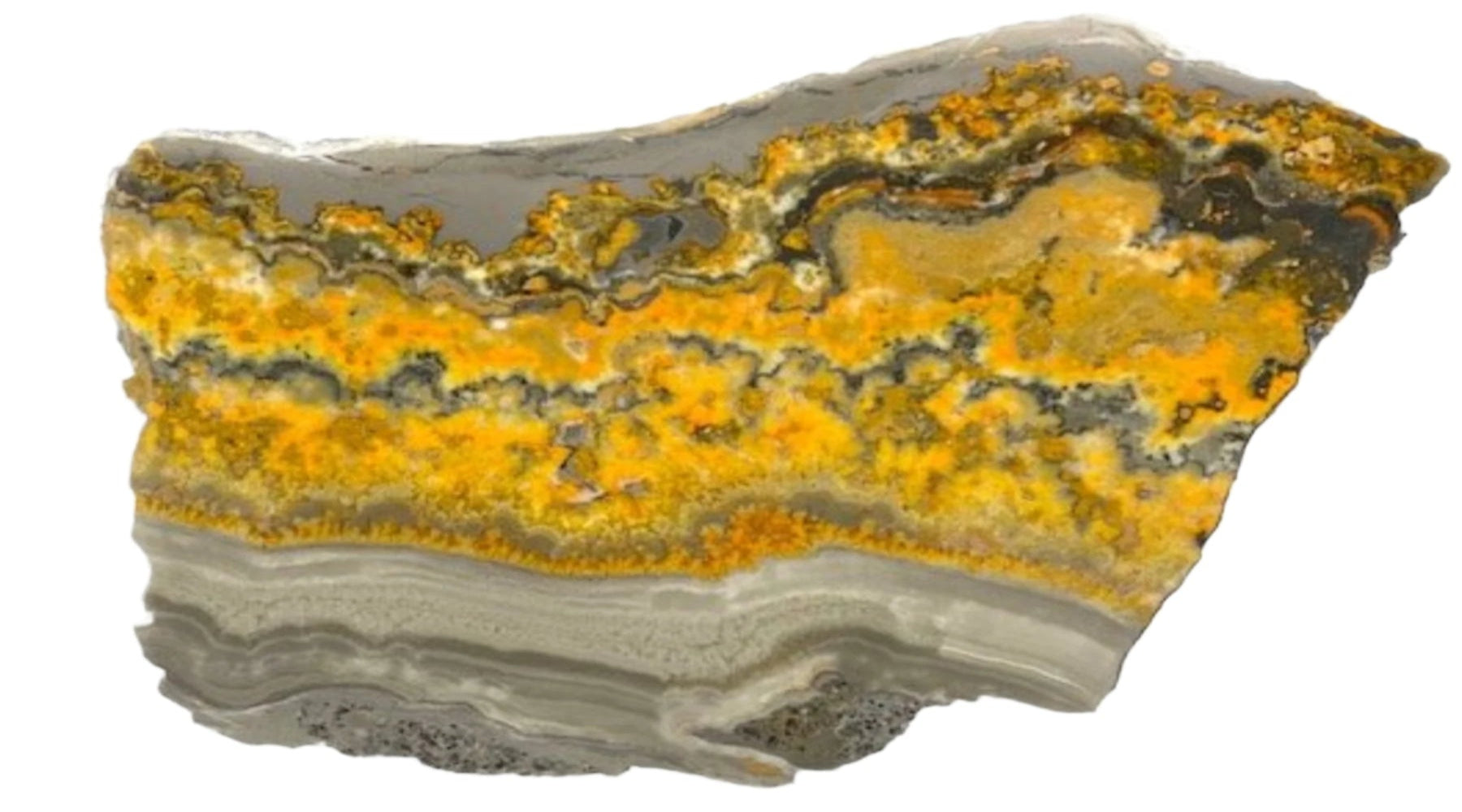 Bumblebee Jasper