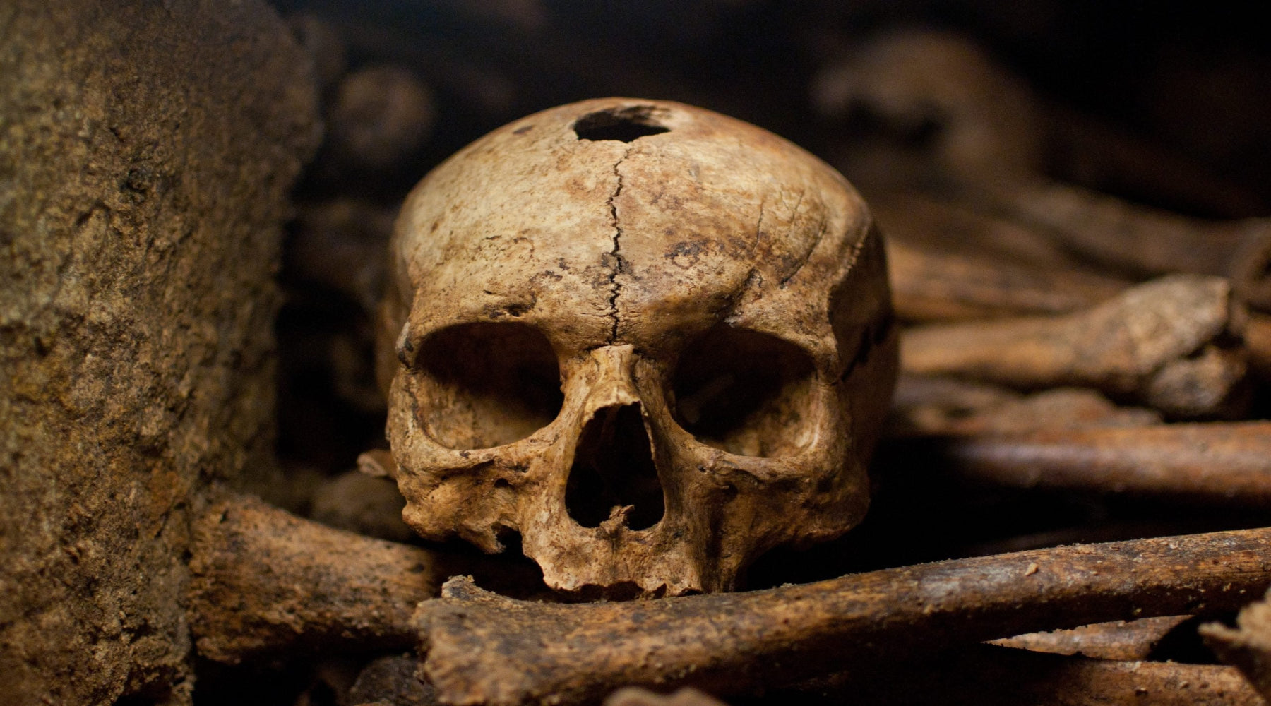 Skull Statues