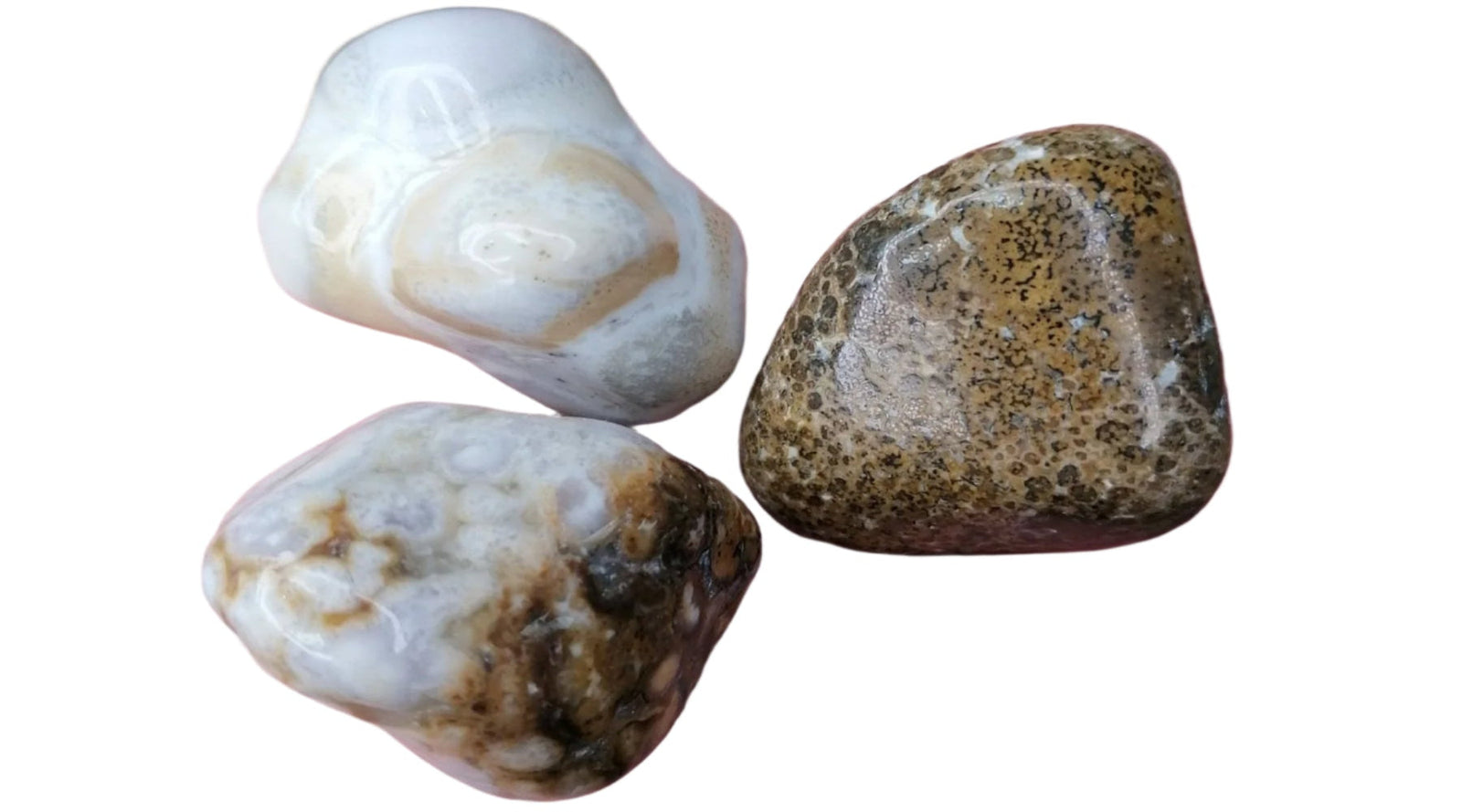 Spotted Agate