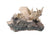 Anhydrite