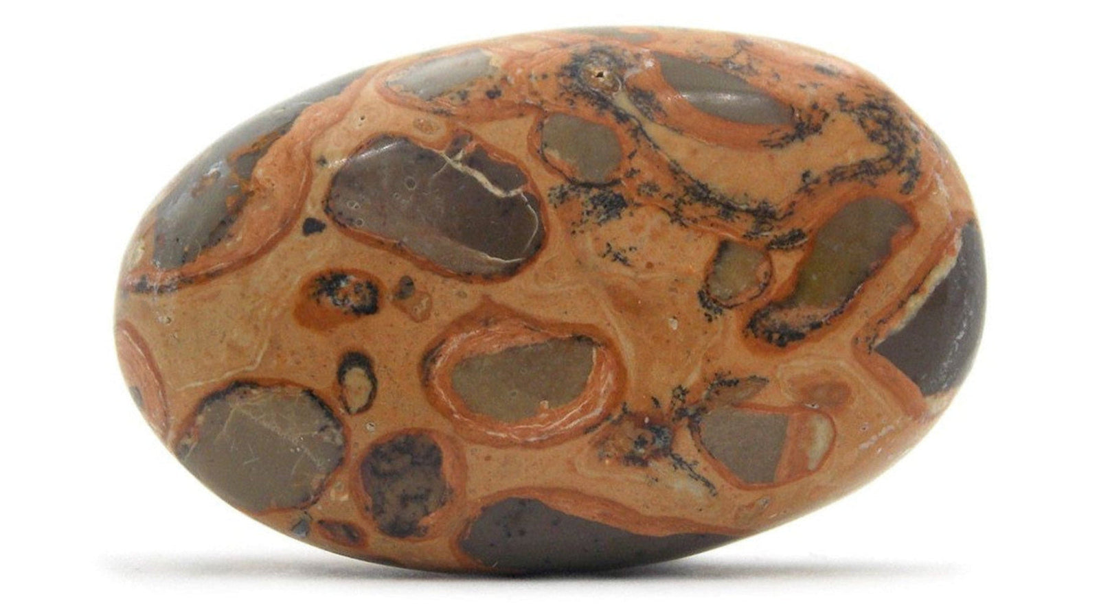 Leopardite