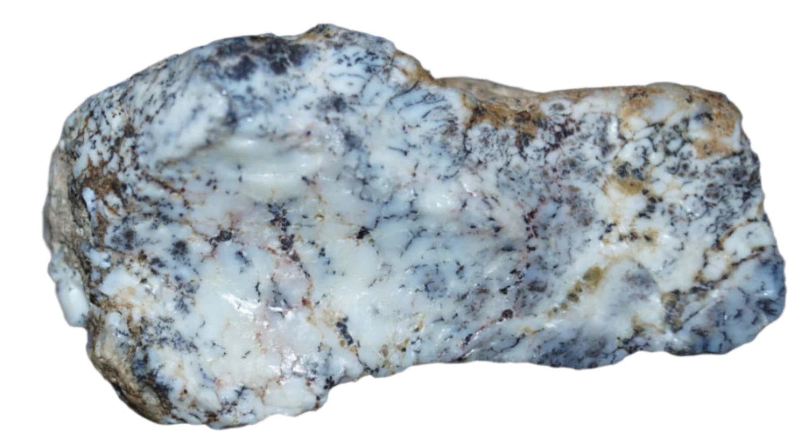 Dendritic Opal