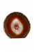 Carnelian Cut Base, one polished side