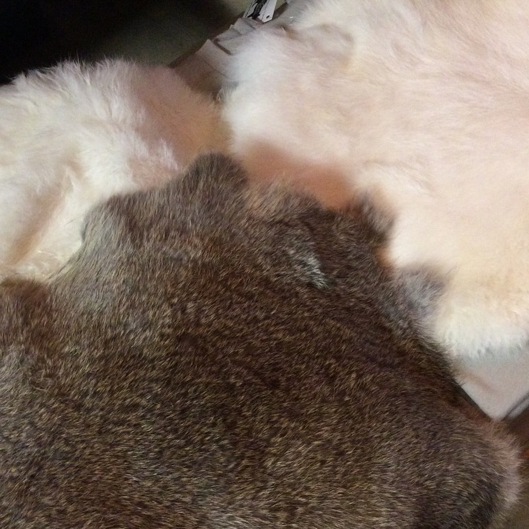 Rabbit Pelts