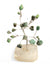 Mini Crystal Chip Tree