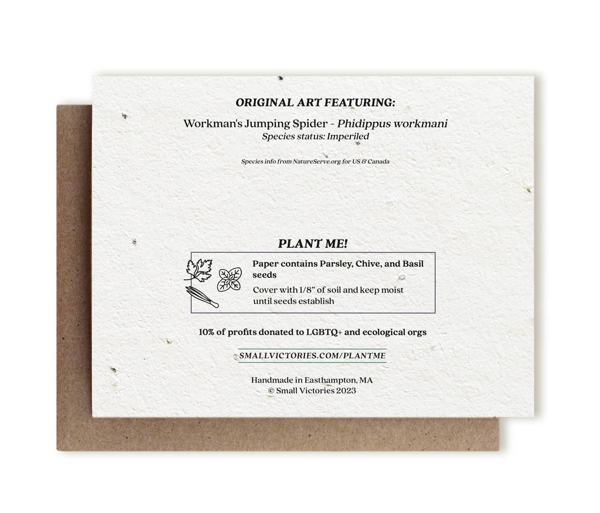 I Only Have Eyes for You Spider Plantable Herb Seed Card