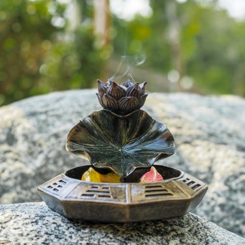 Yin Yang Koi Backflow Burner