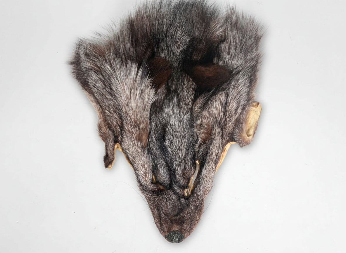 Fox Face (pelt)