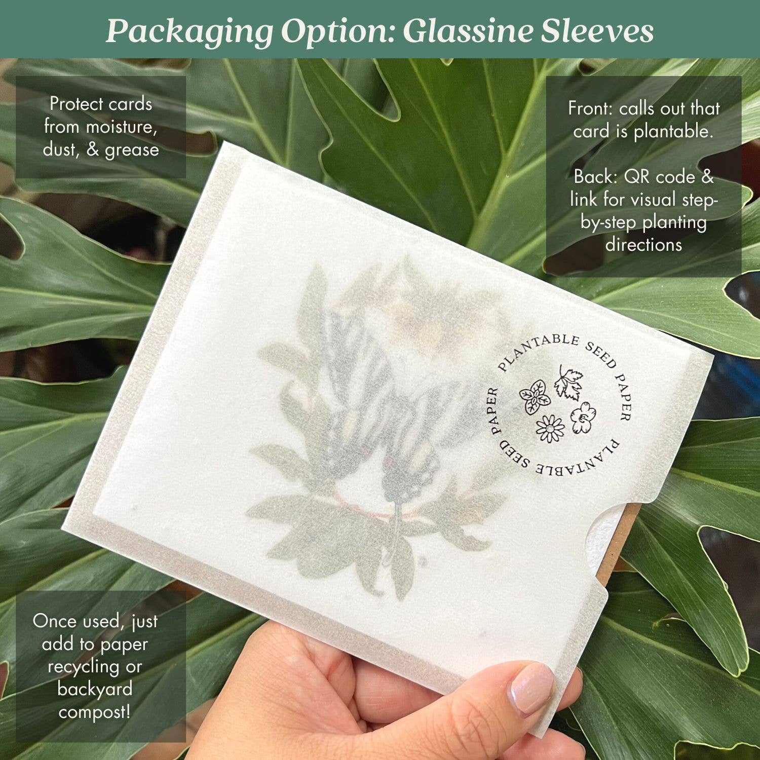 I Only Have Eyes for You Spider Plantable Herb Seed Card