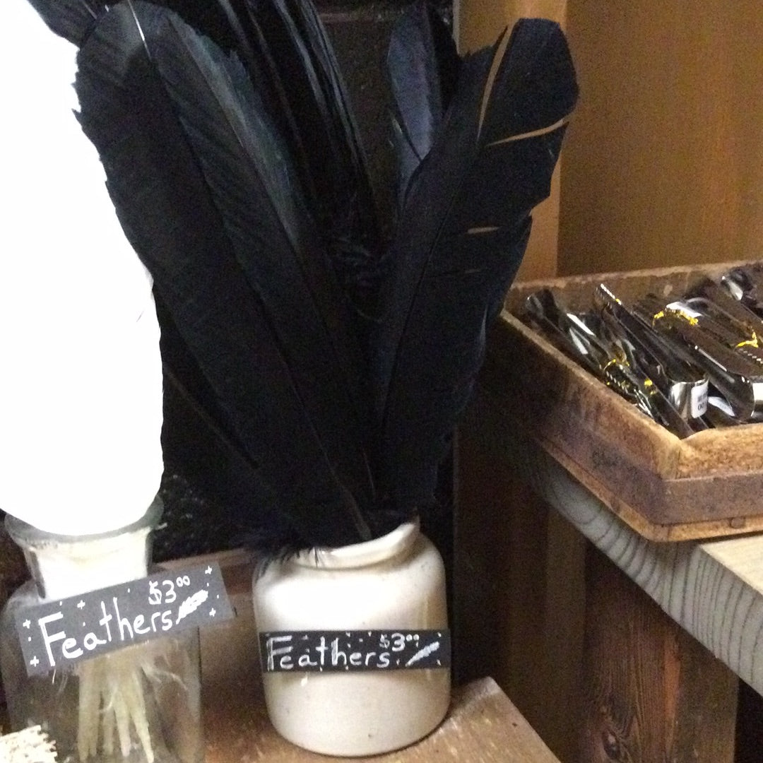 Feathers