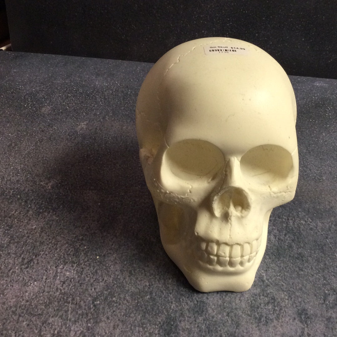 Resin Skulls
