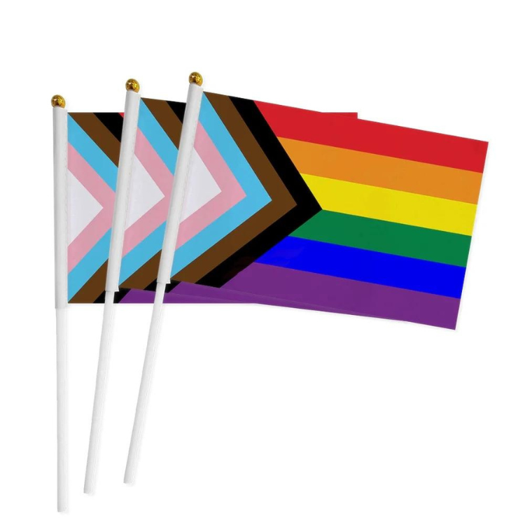 Mini Pride Flag