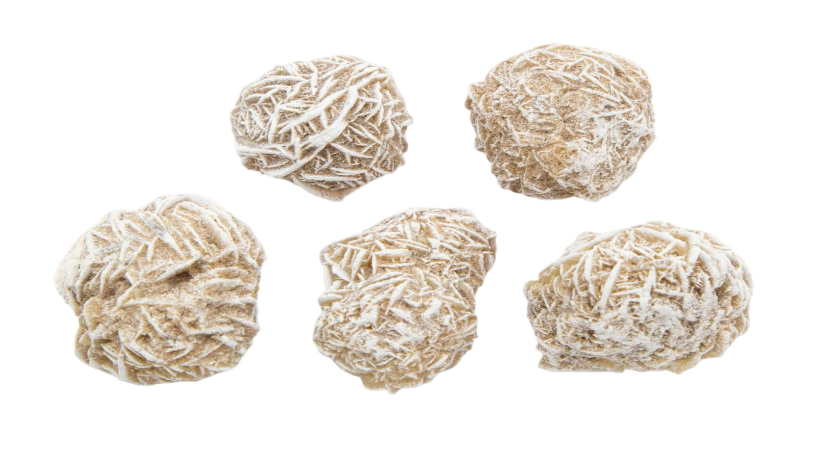 Desert Rose Rough