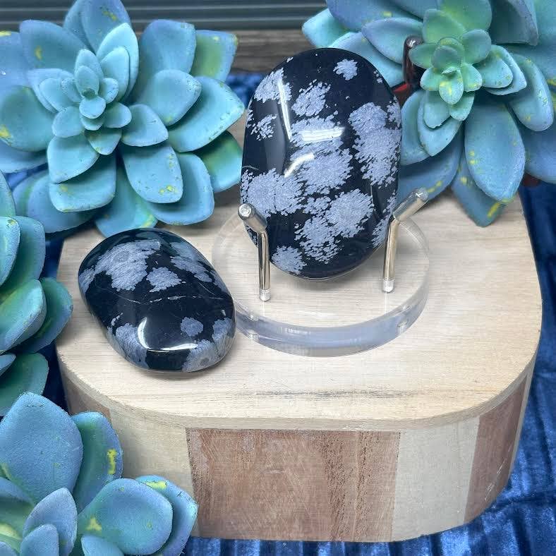 SnowFlake Obsidian Palm Stone