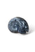 Goniatite Fossil
