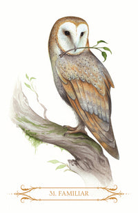 Compendium of Witches Oracle