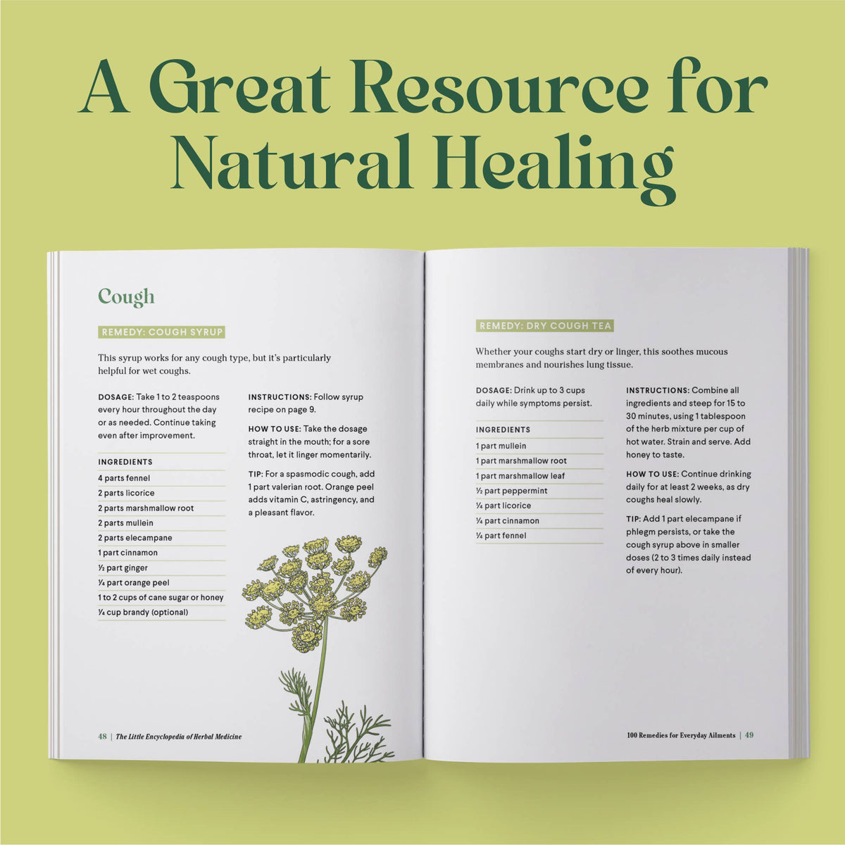 The Little Encyclopedia Of Herbal Medicine