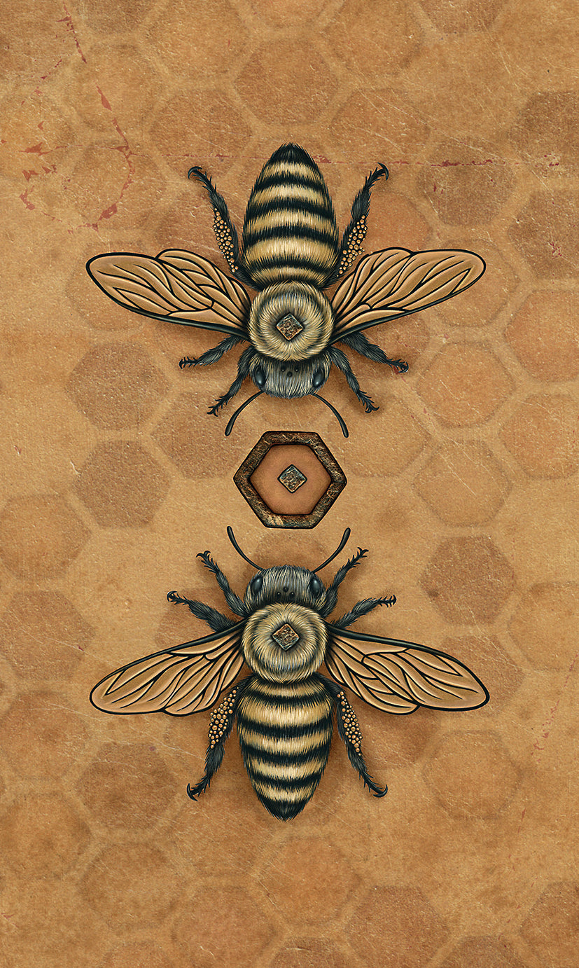Bee Tarot - Hughes / Turner