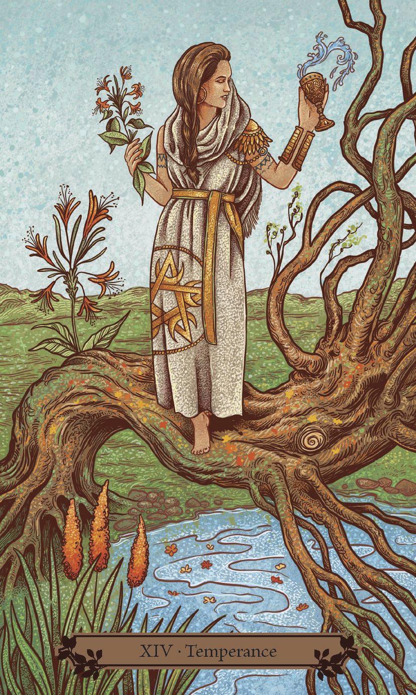 Hedgewitch Tarot