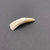 Buffalo Tooth