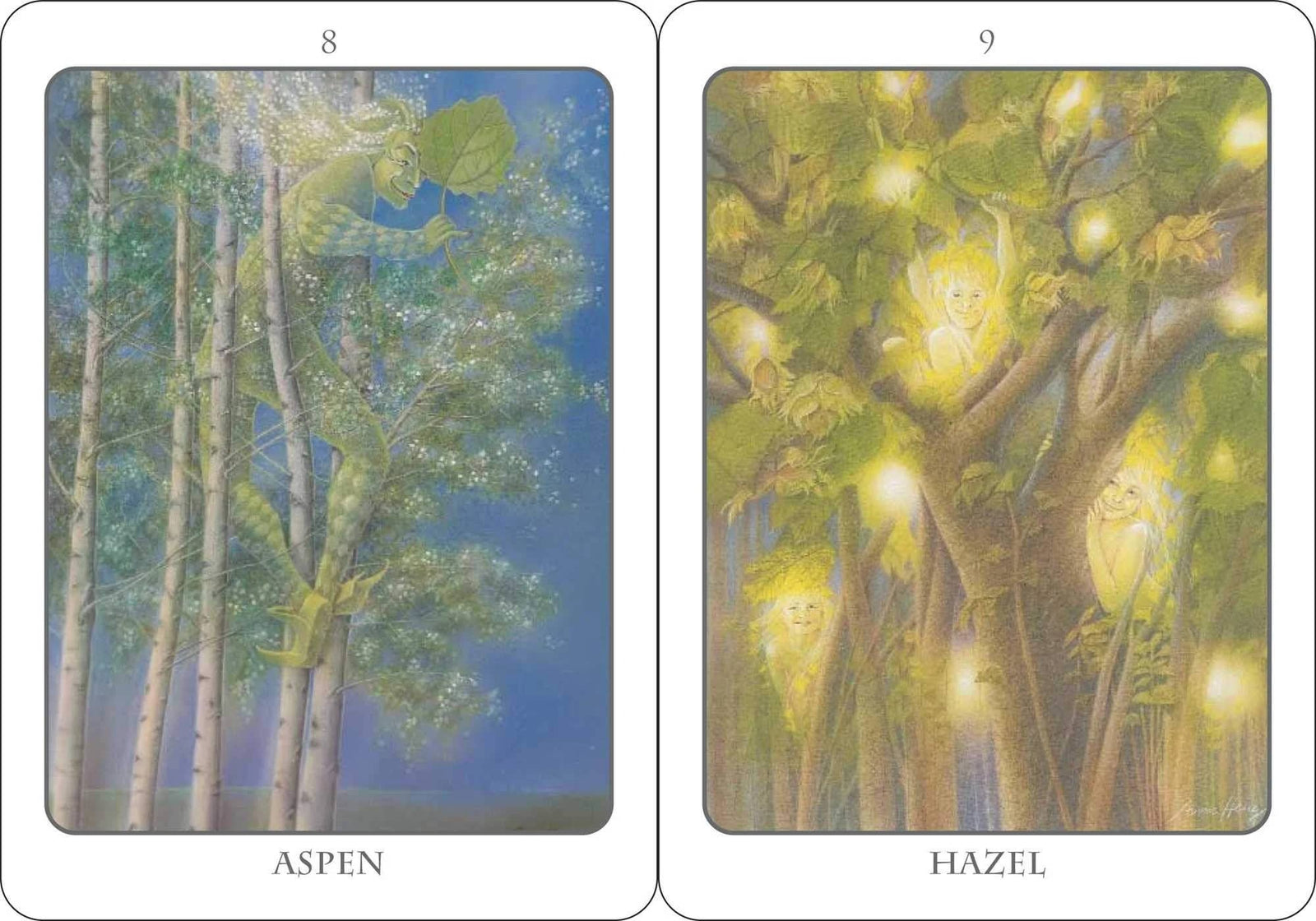 Tree Angel Oracle Deck: The Ancient Path into the Sacred ...