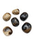 Black Calcite Tumbled
