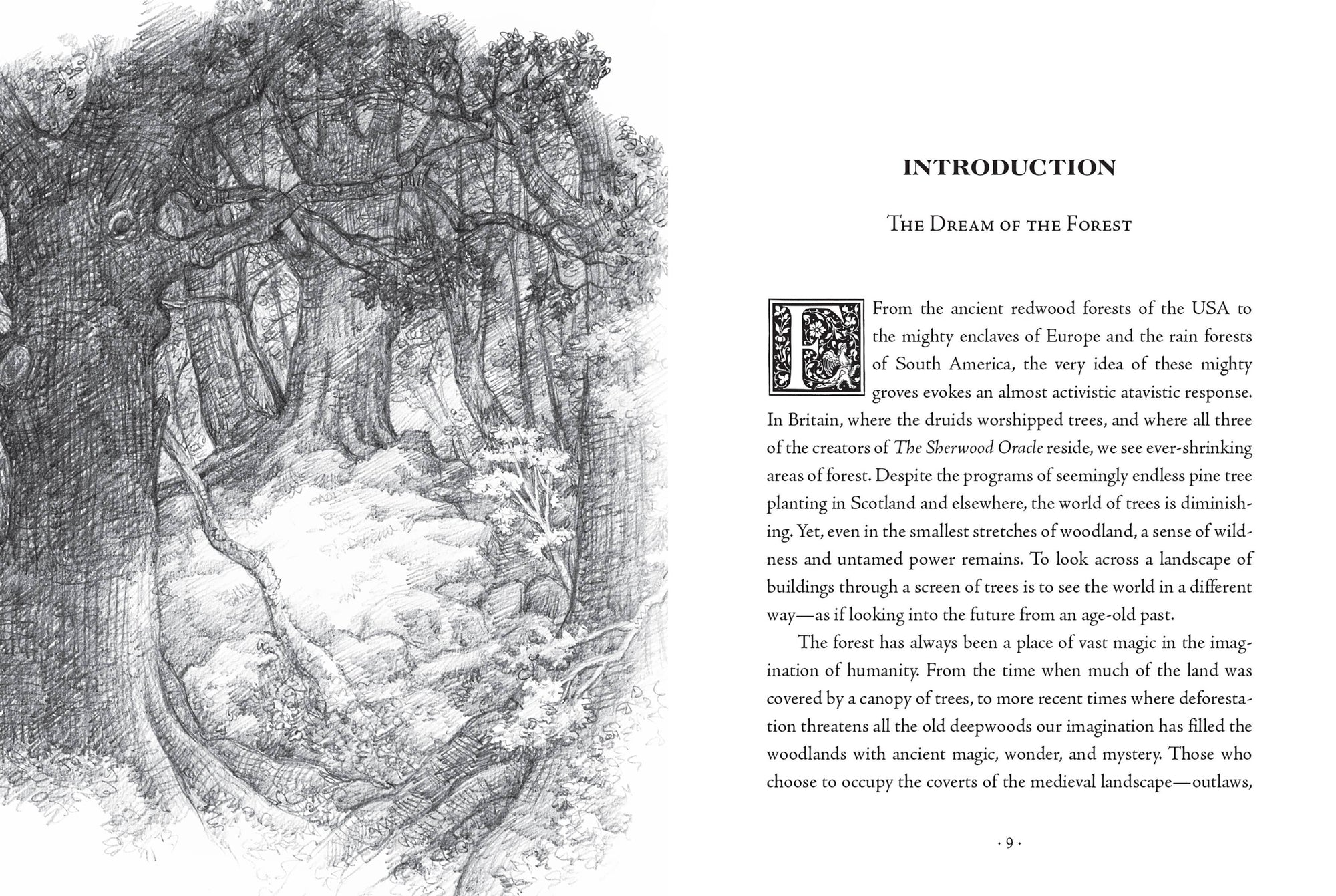 The Sherwood Oracle: Hidden Lore of the Wild Forest