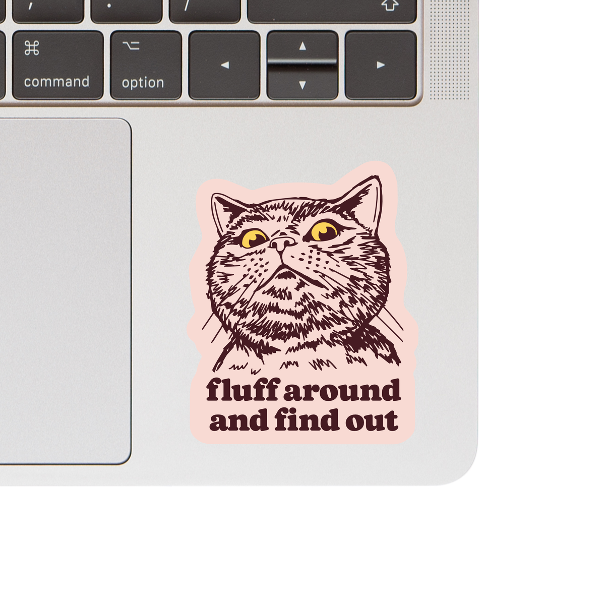Fluff Around & Find Out Cat High Quality Vinyl Sticker