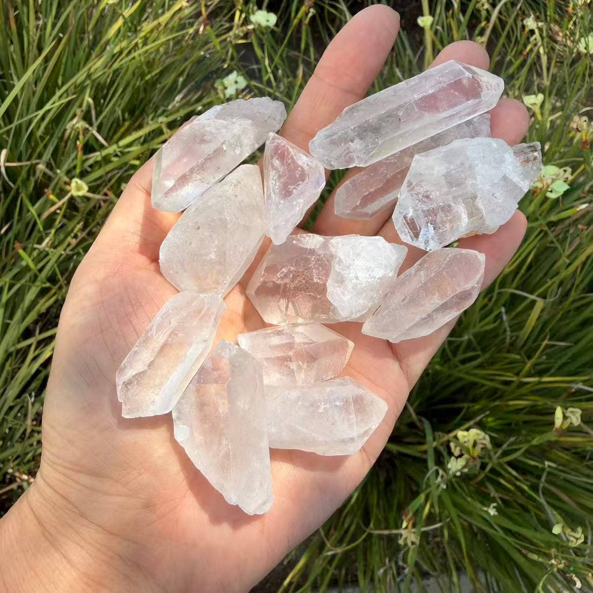 Clear Quartz Points Rough