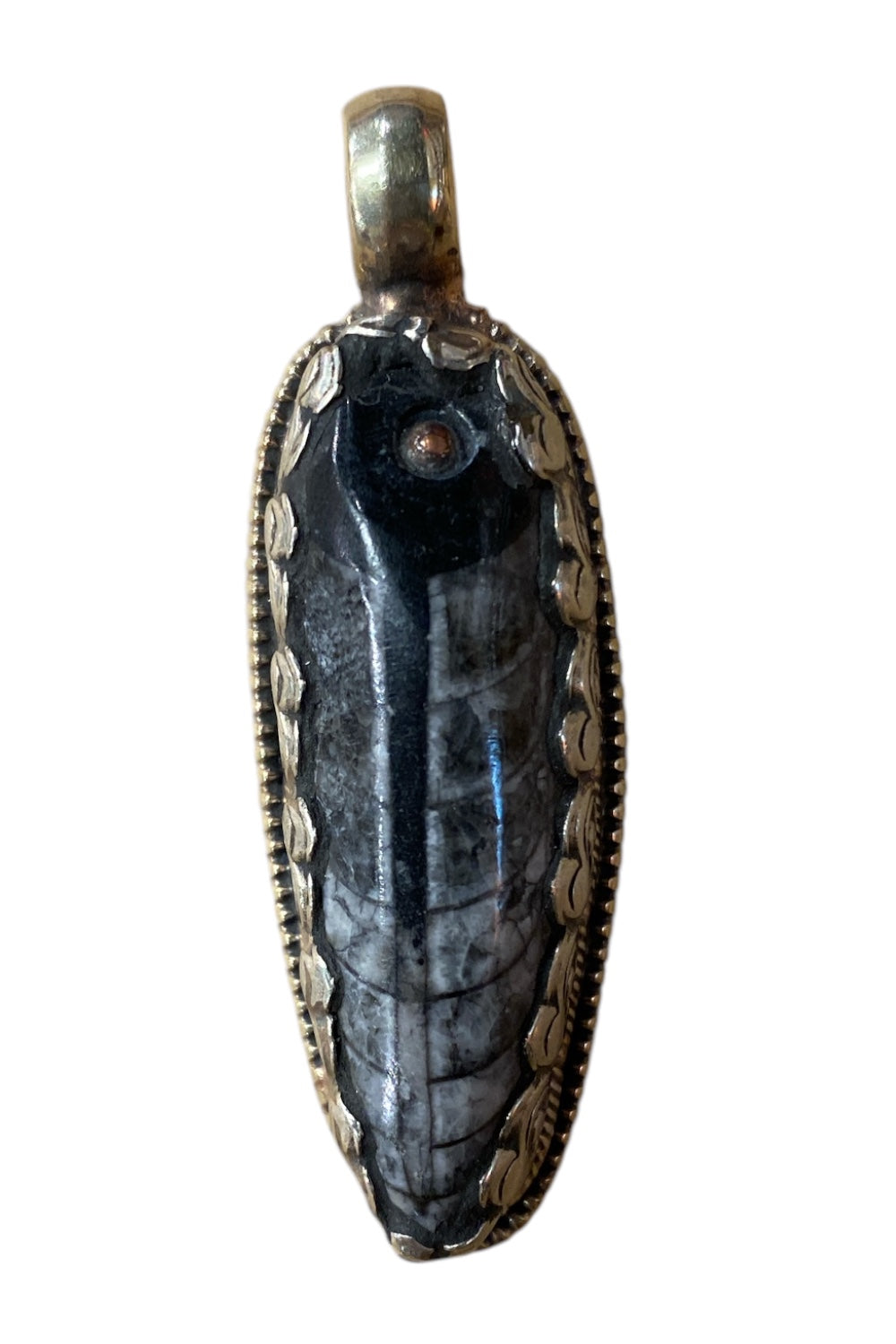 Orthoceras in Tibetan Silver Pendant